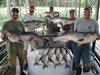 (08/16/2018) - Nice Striped Bass